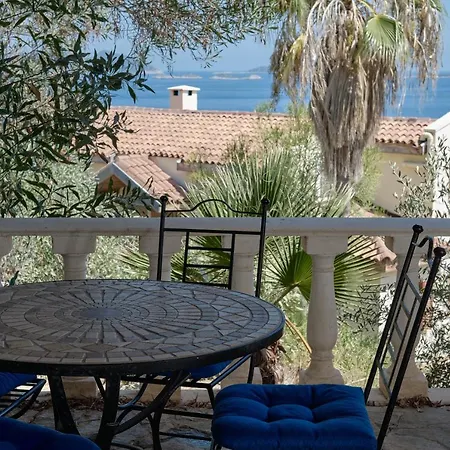 Kaktus Ada Lägenhet