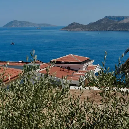 Apartment Kaktus Ada *