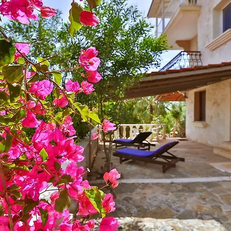 Apartment Kaktus Ada *