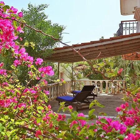 Lägenhet Kaktus Ada *