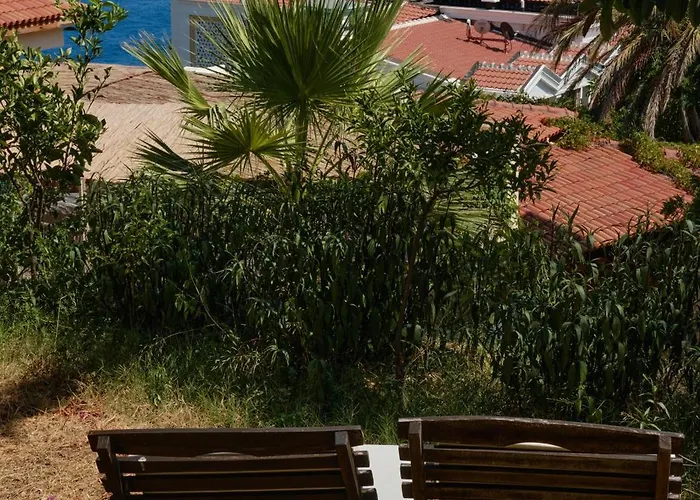 Kaktus Ada דירה *